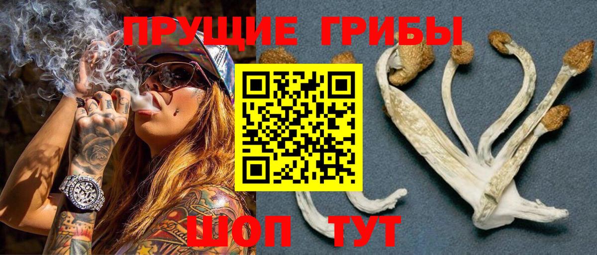 Псилоцибиновые грибы Psilocybe  Вход с VPN  продажа наркотиков  Домодедово 
